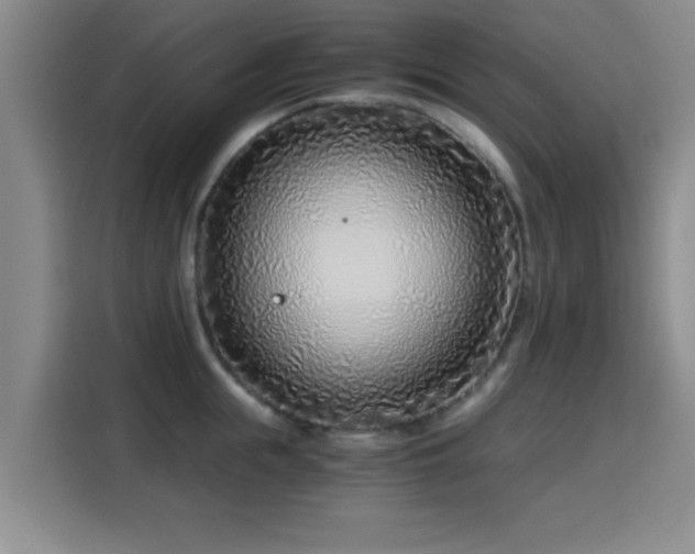 X0000115820855200911201443