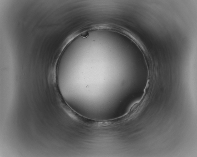 X0000115820858200911201443