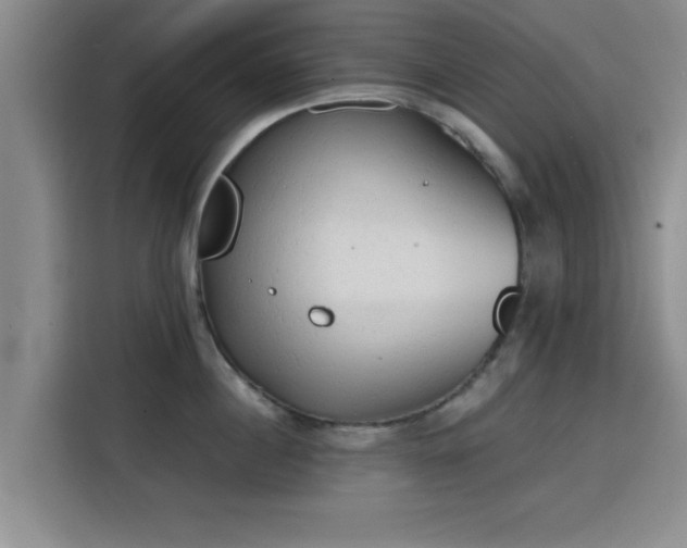 X0000115820860200911201444