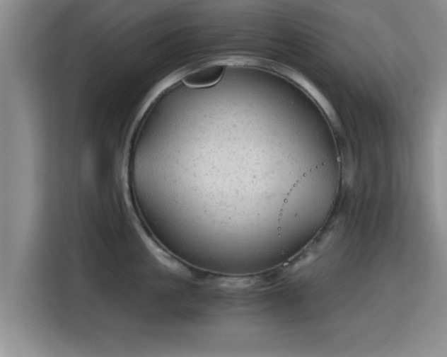 X0000115820861200911201444