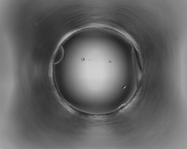 X0000115820862200911201444