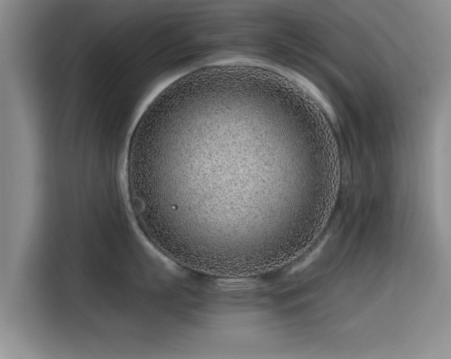 X0000115820863200911201444