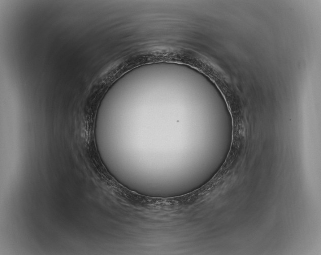 X0000115820869200911201443