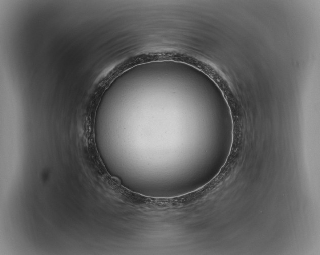 X0000115820871200911201443