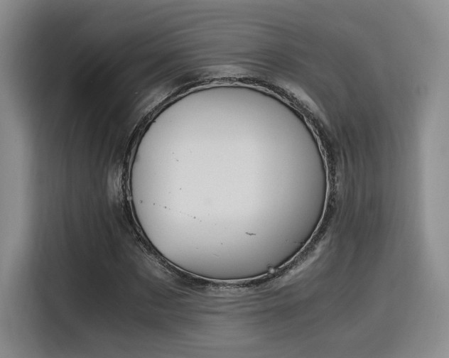 X0000115820873200911201443