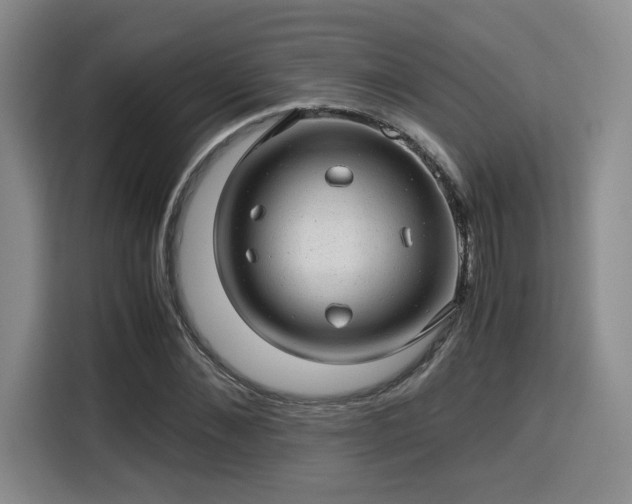 X0000115820876200911201443