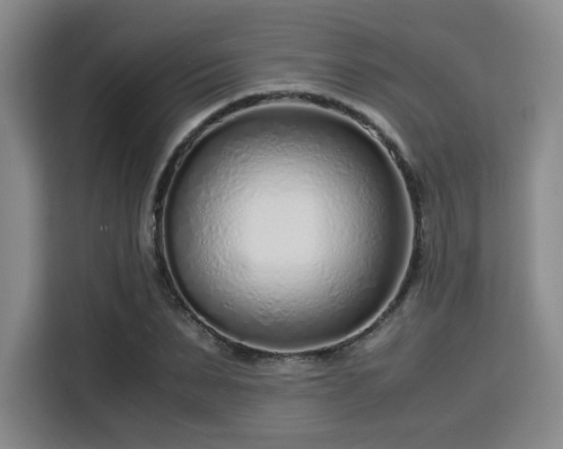 X0000115820879200911201443