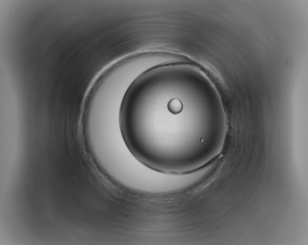 X0000115820880200911201443