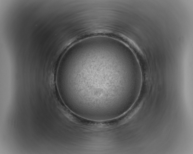 X0000115820881200911201443