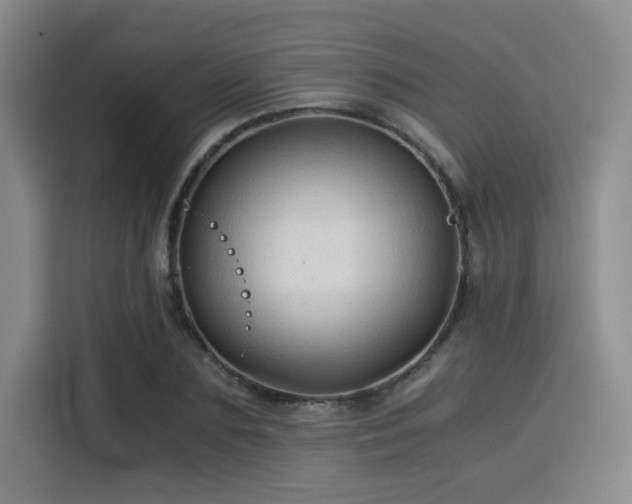 X0000115820883200911201443