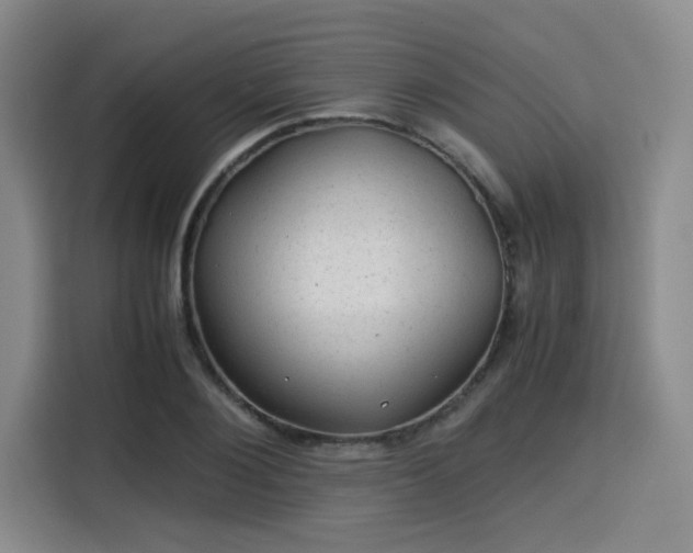 X0000115820884200911201443