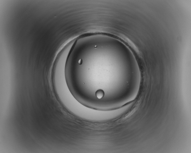 X0000115820885200911201443