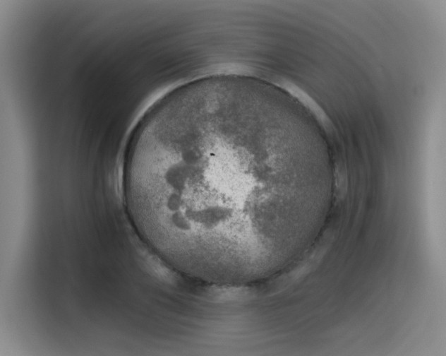 X0000115820886200911201443