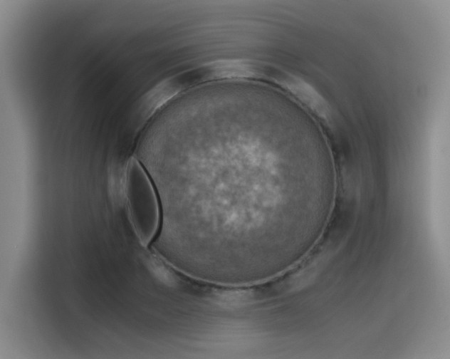 X0000115820889200911201443