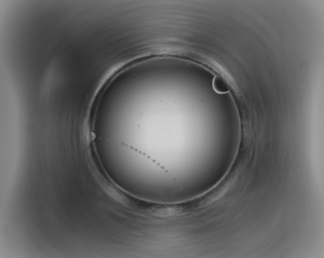 X0000115820891200911201443