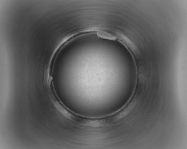 X0000115820892200911201443