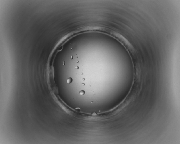 X0000115820894200911201443