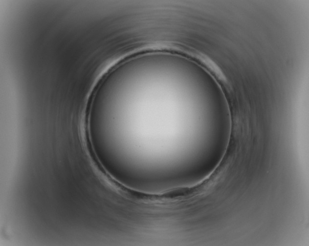 X0000115820895200911201443