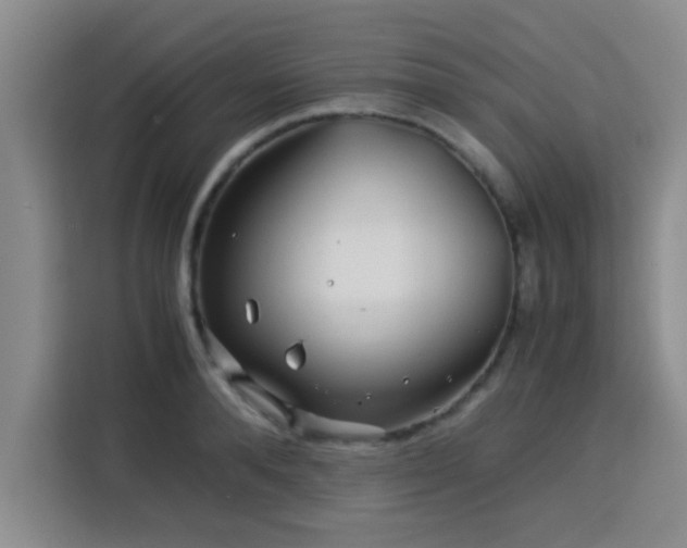 X0000115820896200911201443