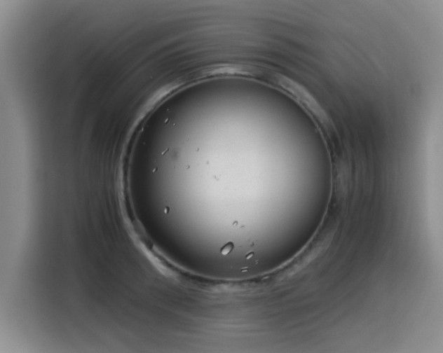 X0000115820898200911201443