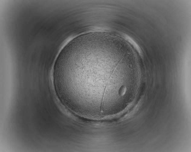 X0000115820899200911201442