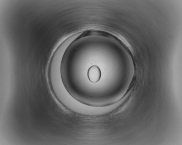 X0000115820901200911201442