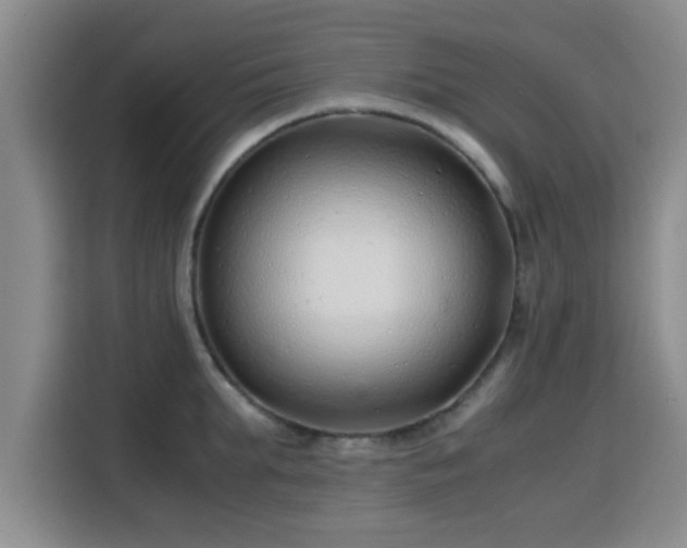 X0000115820903200911201442