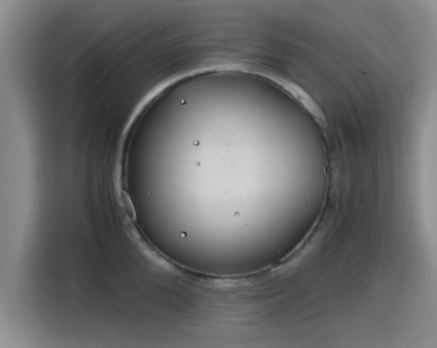 X0000115820904200911201442