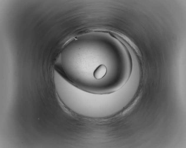 X0000115820905200911201442