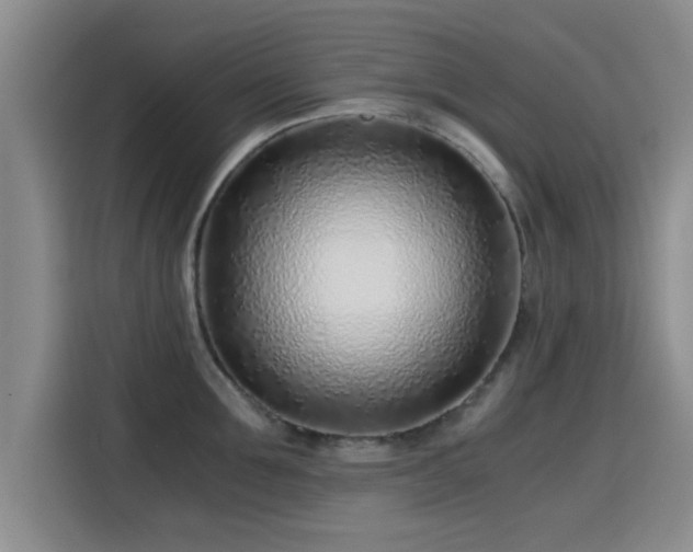 X0000115820907200911201442