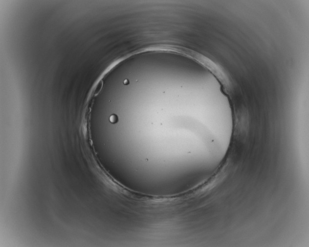 X0000115820908200911201442