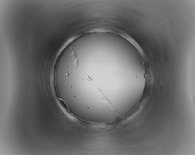 X0000115820909200911201442