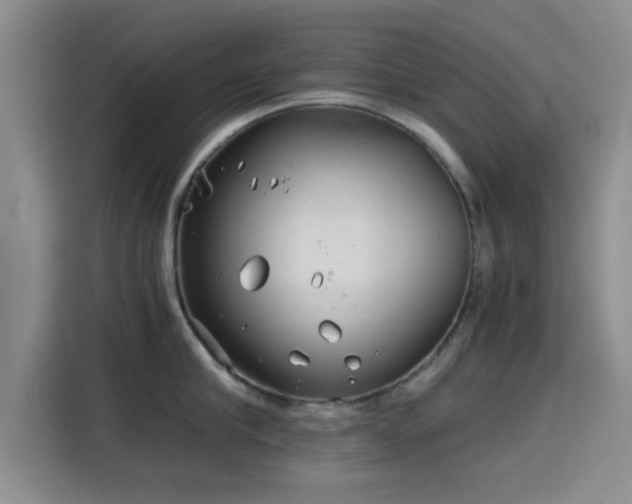 X0000115820910200911201442