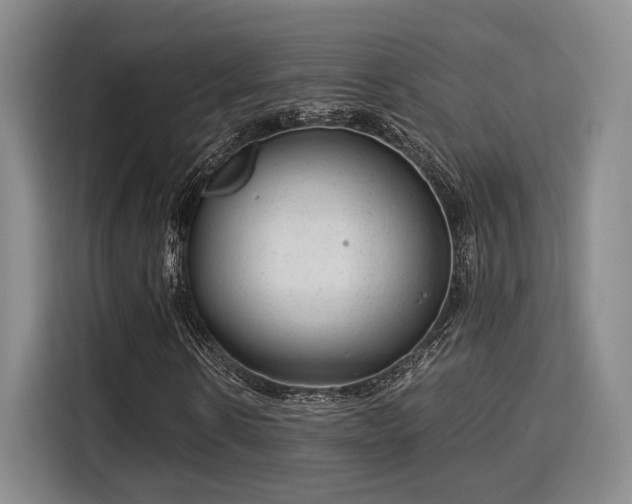 X0000115820914200911201442