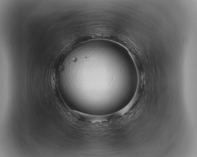 X0000115820915200911201442