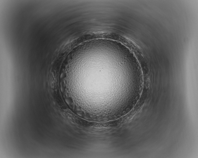 X0000115820917200911201442