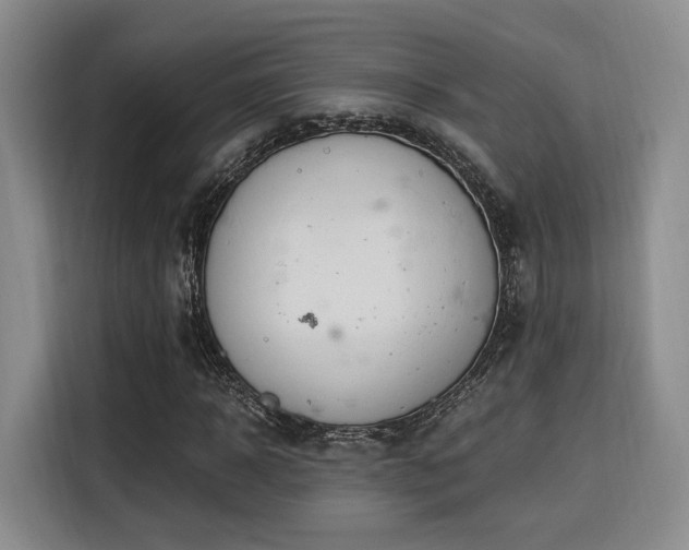 X0000115820918200911201442