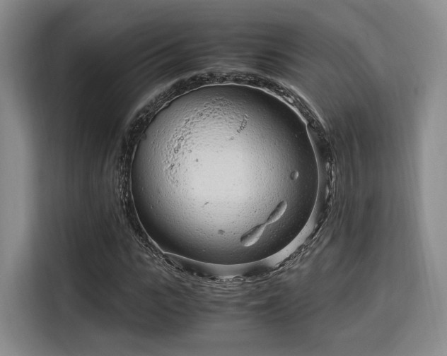 X0000115820919200911201442