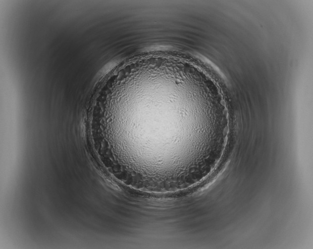 X0000115820921200911201442