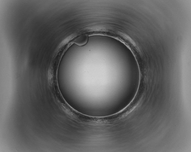 X0000115820922200911201442