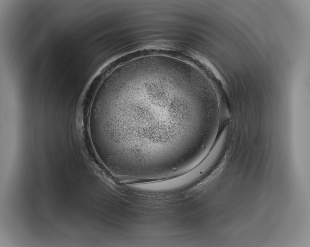 X0000115820923200911201442