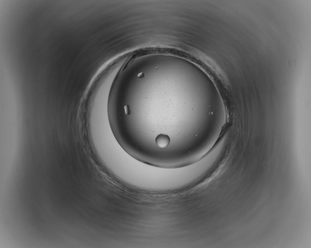 X0000115820926200911201442