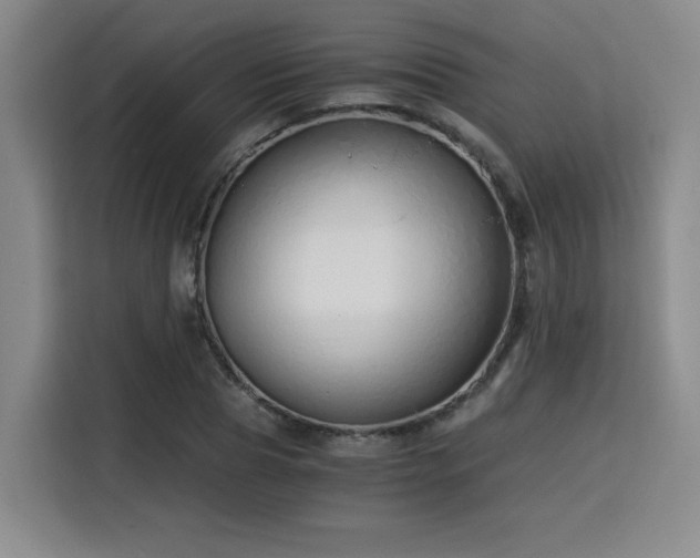 X0000115820929200911201442