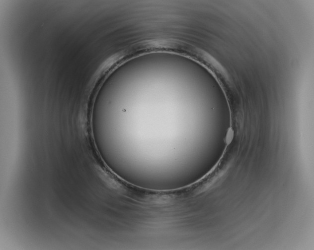 X0000115820930200911201442