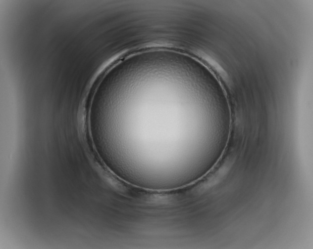 X0000115820933200911201442