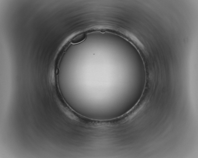 X0000115820934200911201442