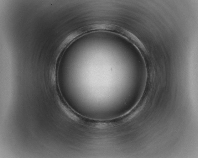 X0000115820938200911201442