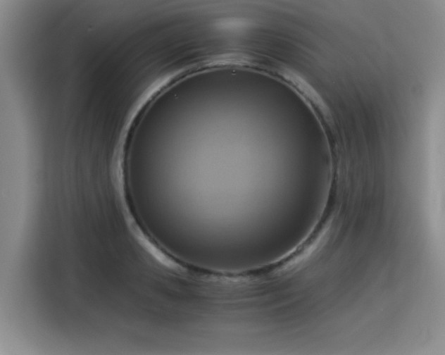 X0000115820941200911201442