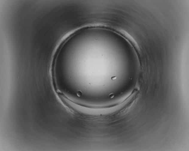 X0000115820943200911201442