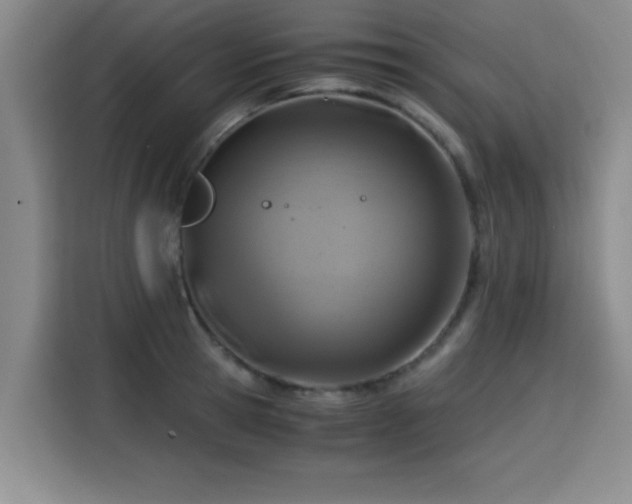 X0000115820945200911201442